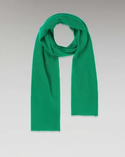 Echarpe Regular Basique
