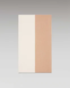 Echarpe Regular Bicolore