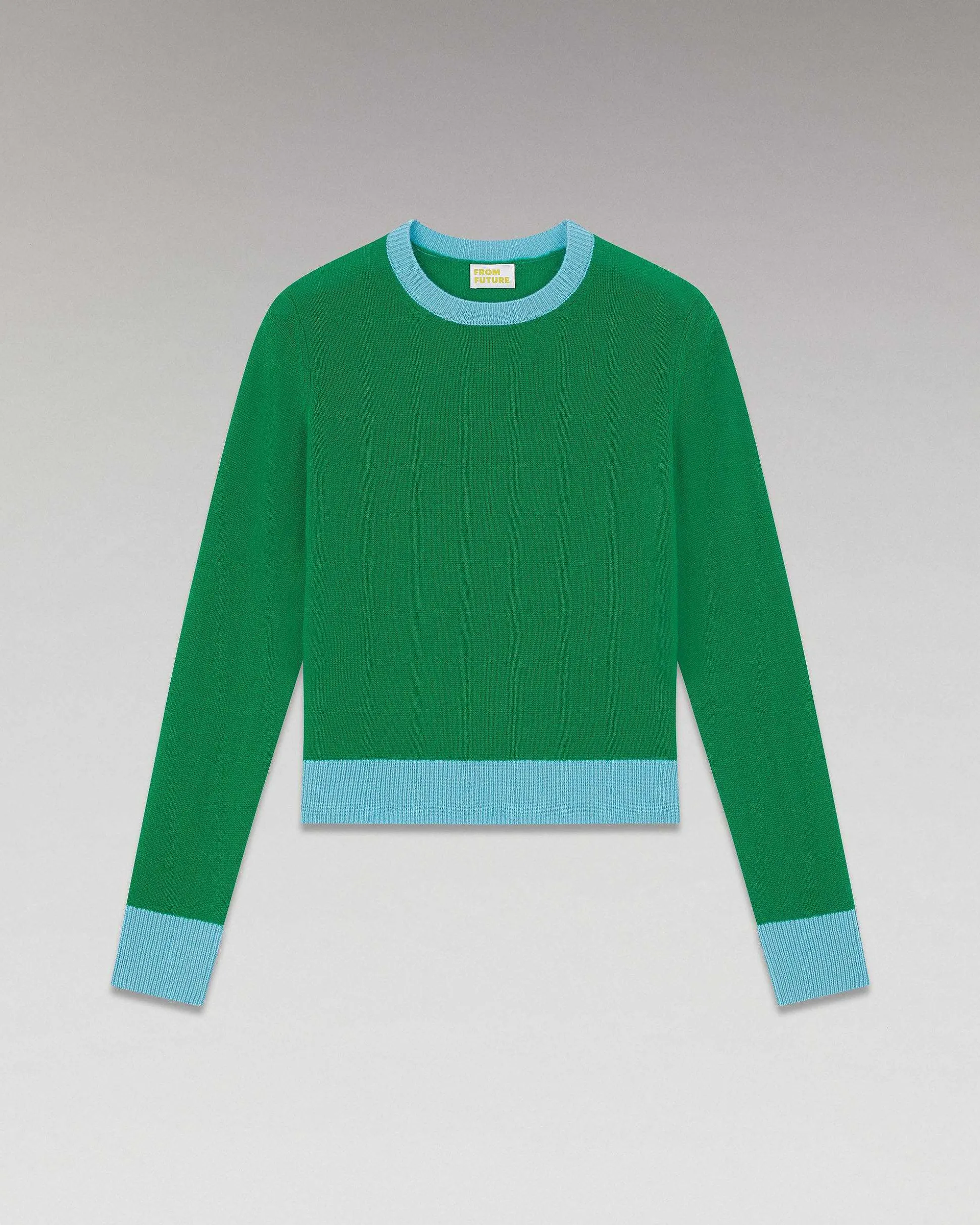 Pull Col Rond Bicolore Leger