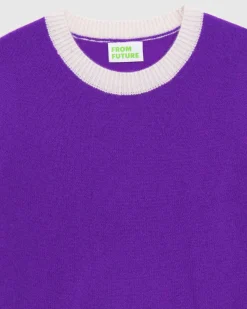 Pull Col Rond Bicolore Leger