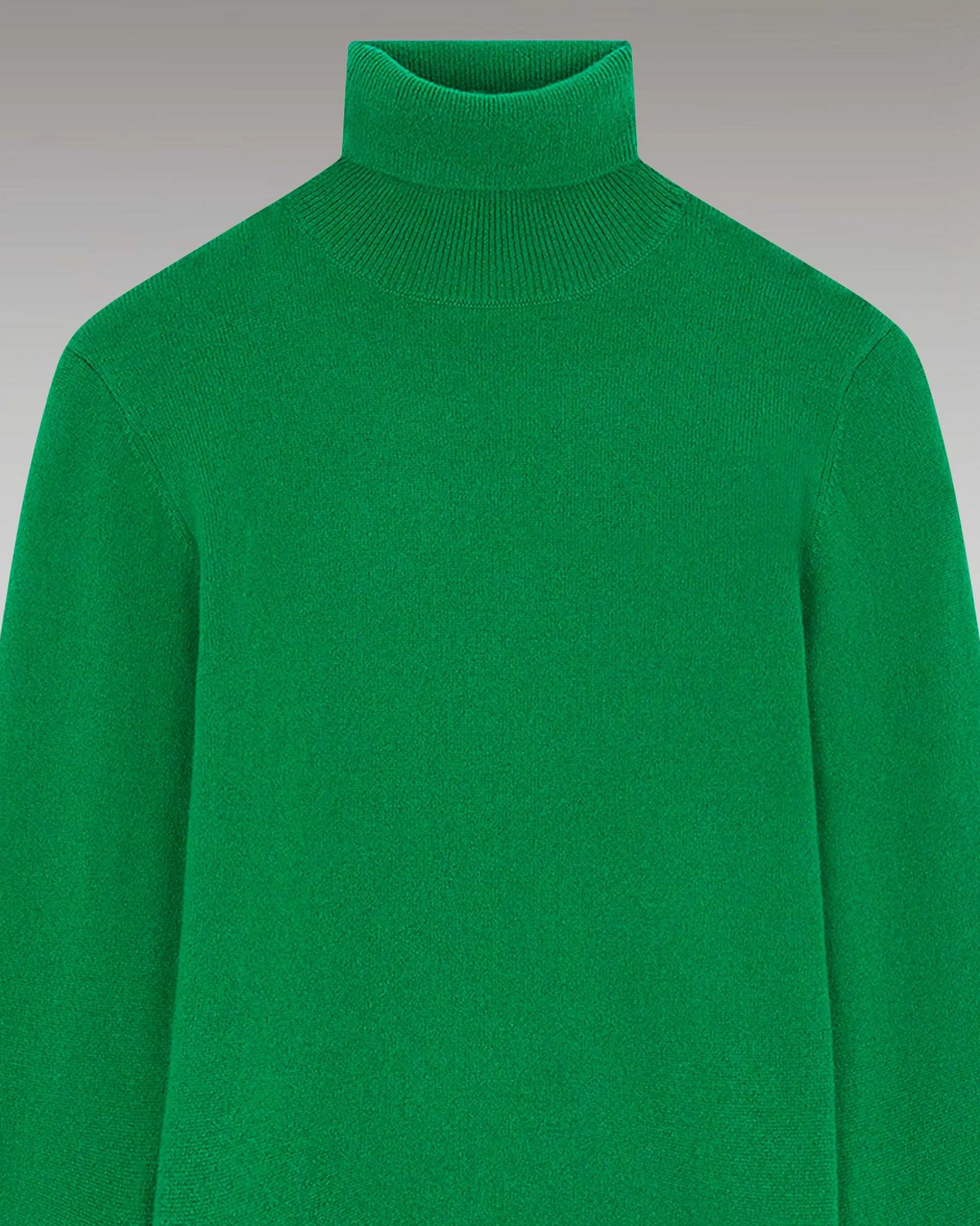 Pull Col Roule Basique