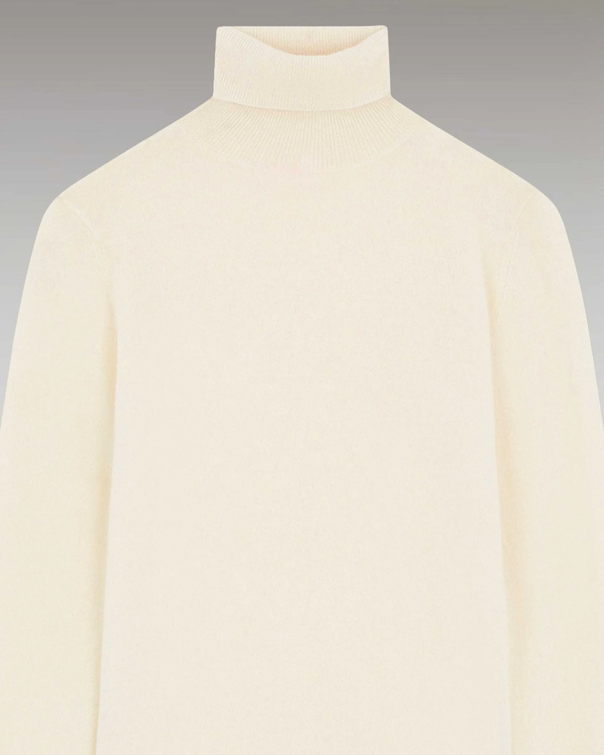 Pull Col Roule Basique