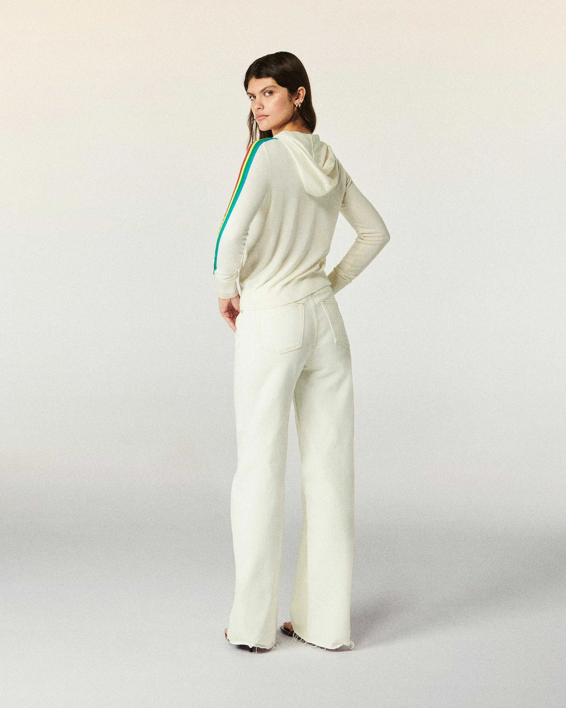 Pull Hoodie Zippe Bande Multicolore