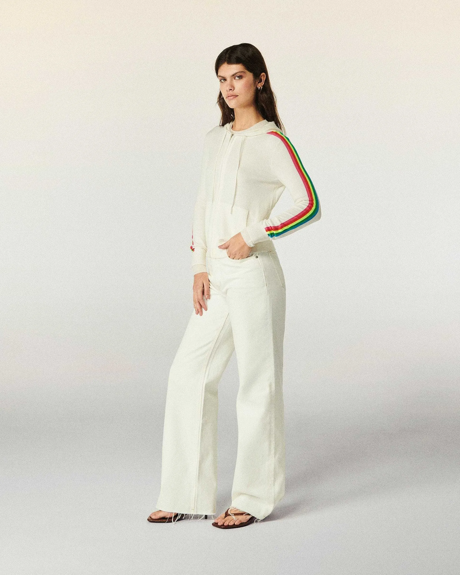 Pull Hoodie Zippe Bande Multicolore