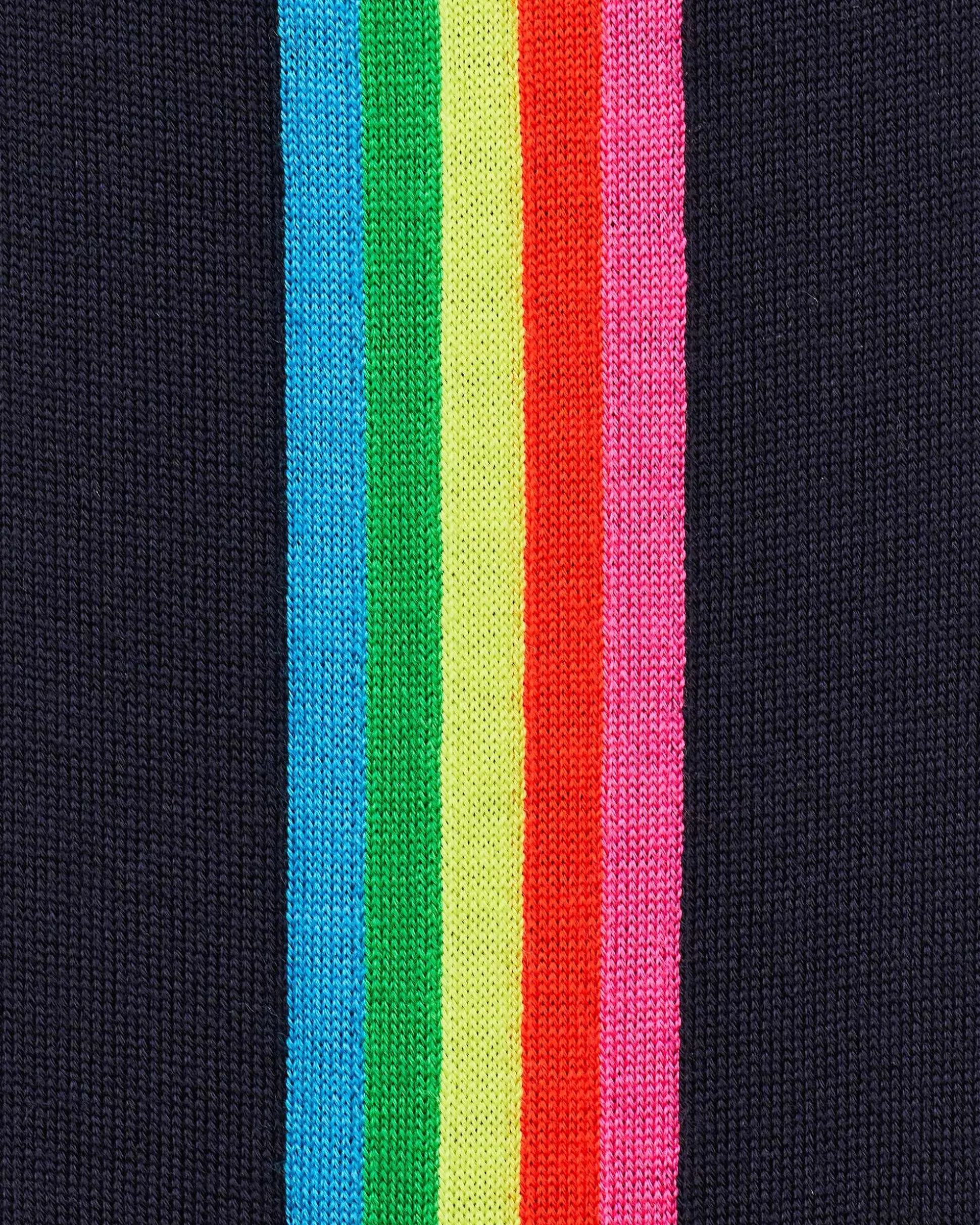 Pull Hoodie Zippe Bande Multicolore